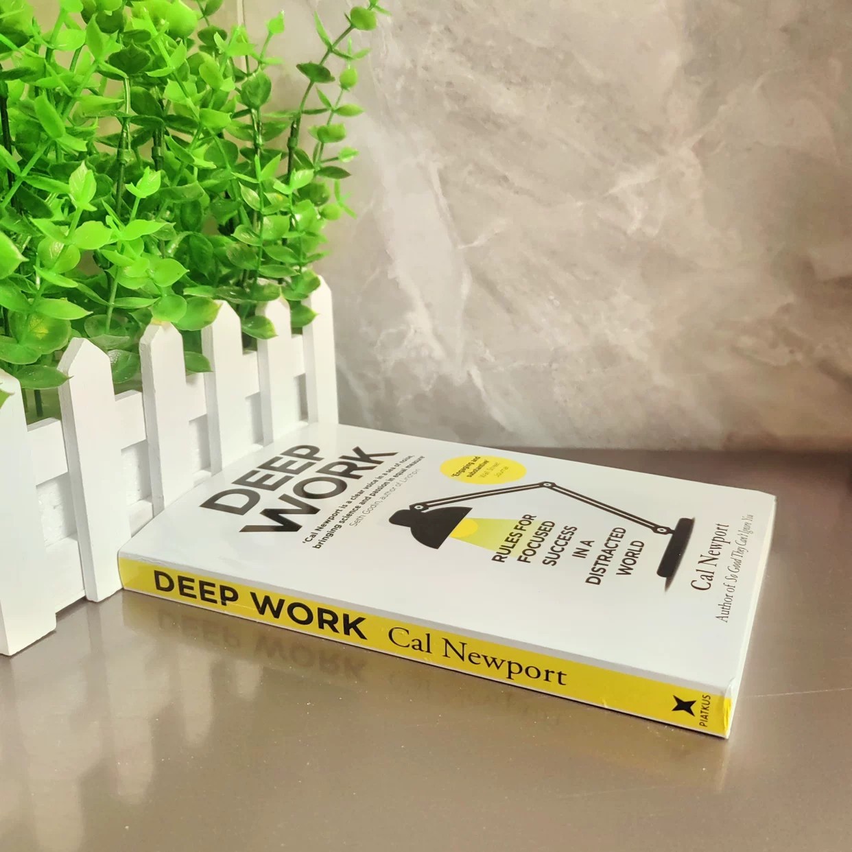 Trabajo Profundo de Cal Newpor - Renewable Energy Resources reseña y precio